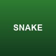 Snake.io